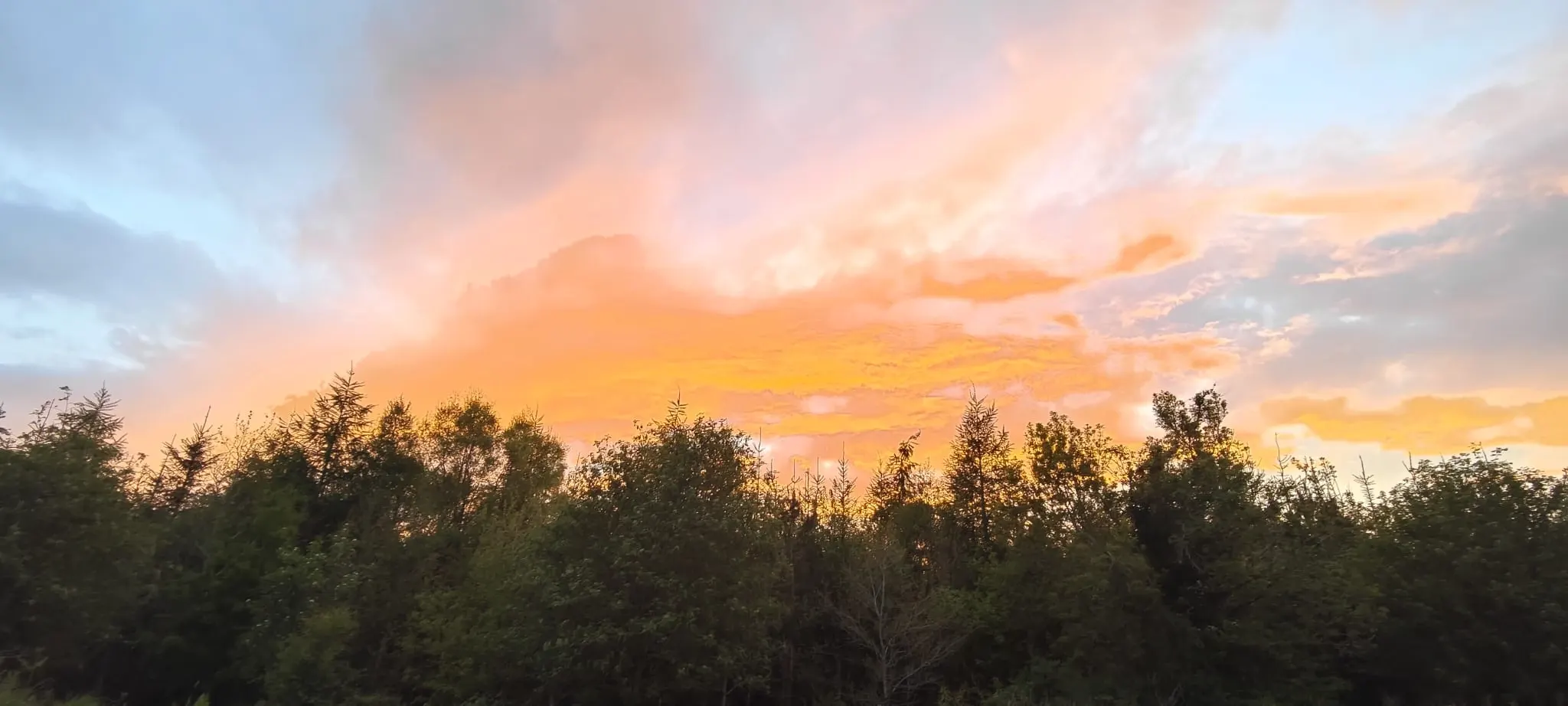 Sunset over a forested landscape