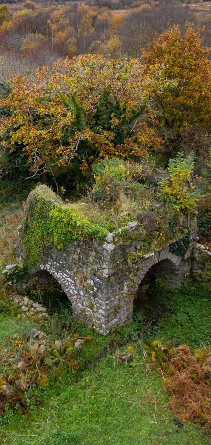 Ancient castle ruins in the Irish landscape