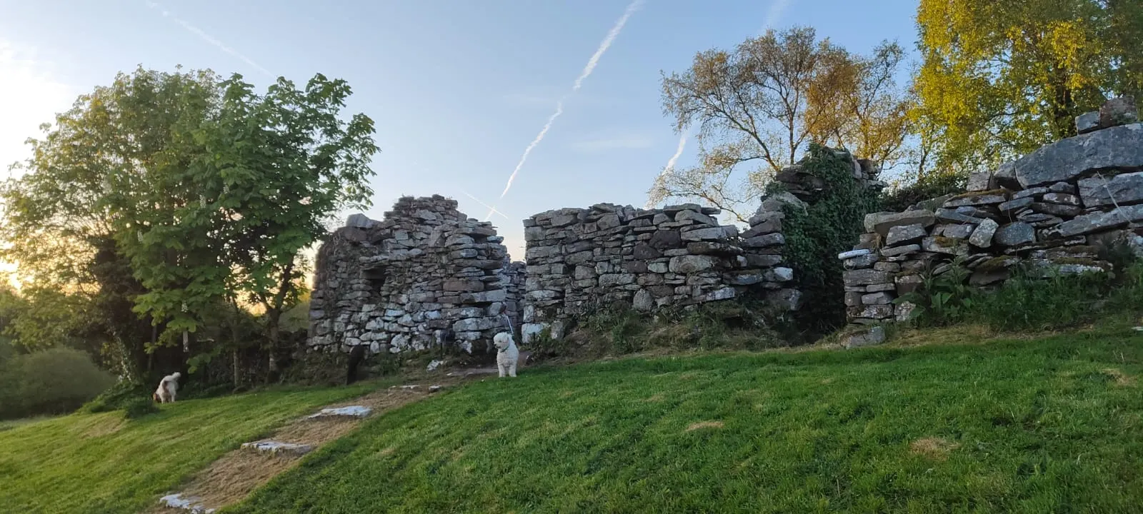 Stone ruins in a woodland setting