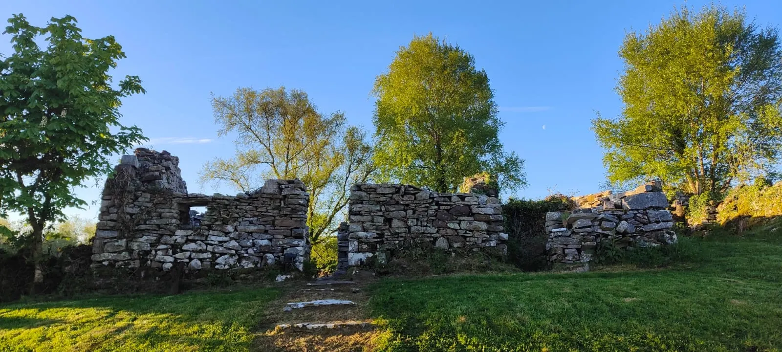 Ruins in daylight among green foliage